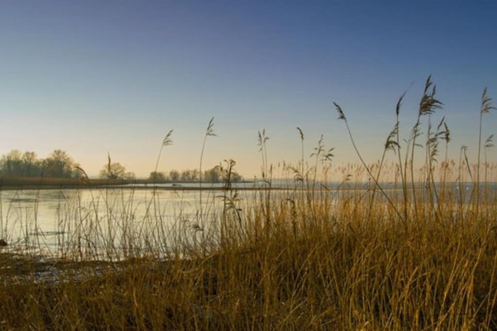 Bodensee Apartments, Sauna, Lake Walks, Free Parking, Self Checkin, Nature Reserve, Restaurants Nearby Gaissau  Экстерьер фото