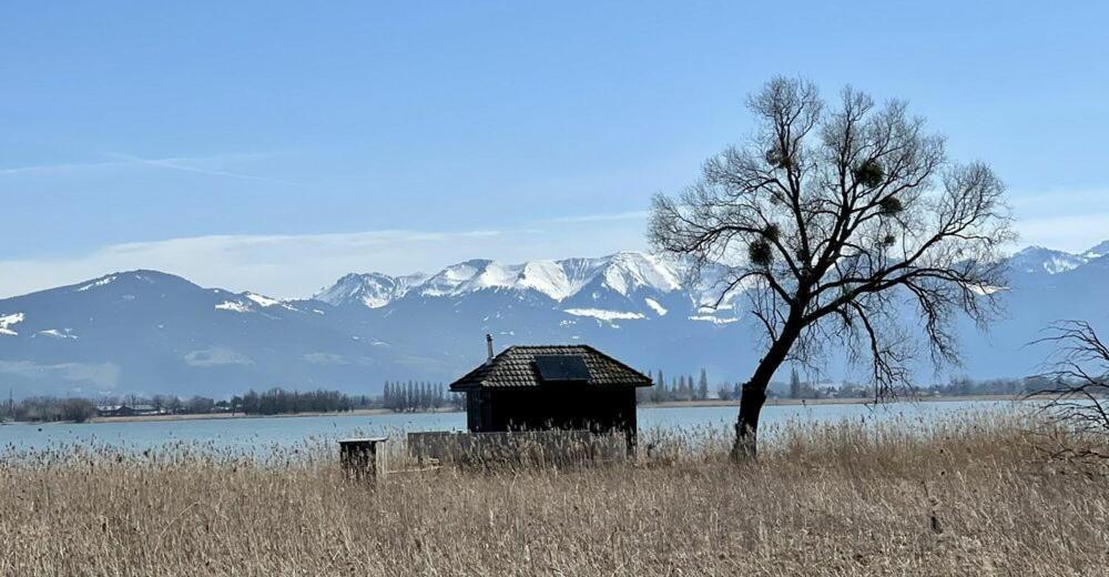 Bodensee Apartments, Sauna, Lake Walks, Free Parking, Self Checkin, Nature Reserve, Restaurants Nearby Gaissau  Экстерьер фото