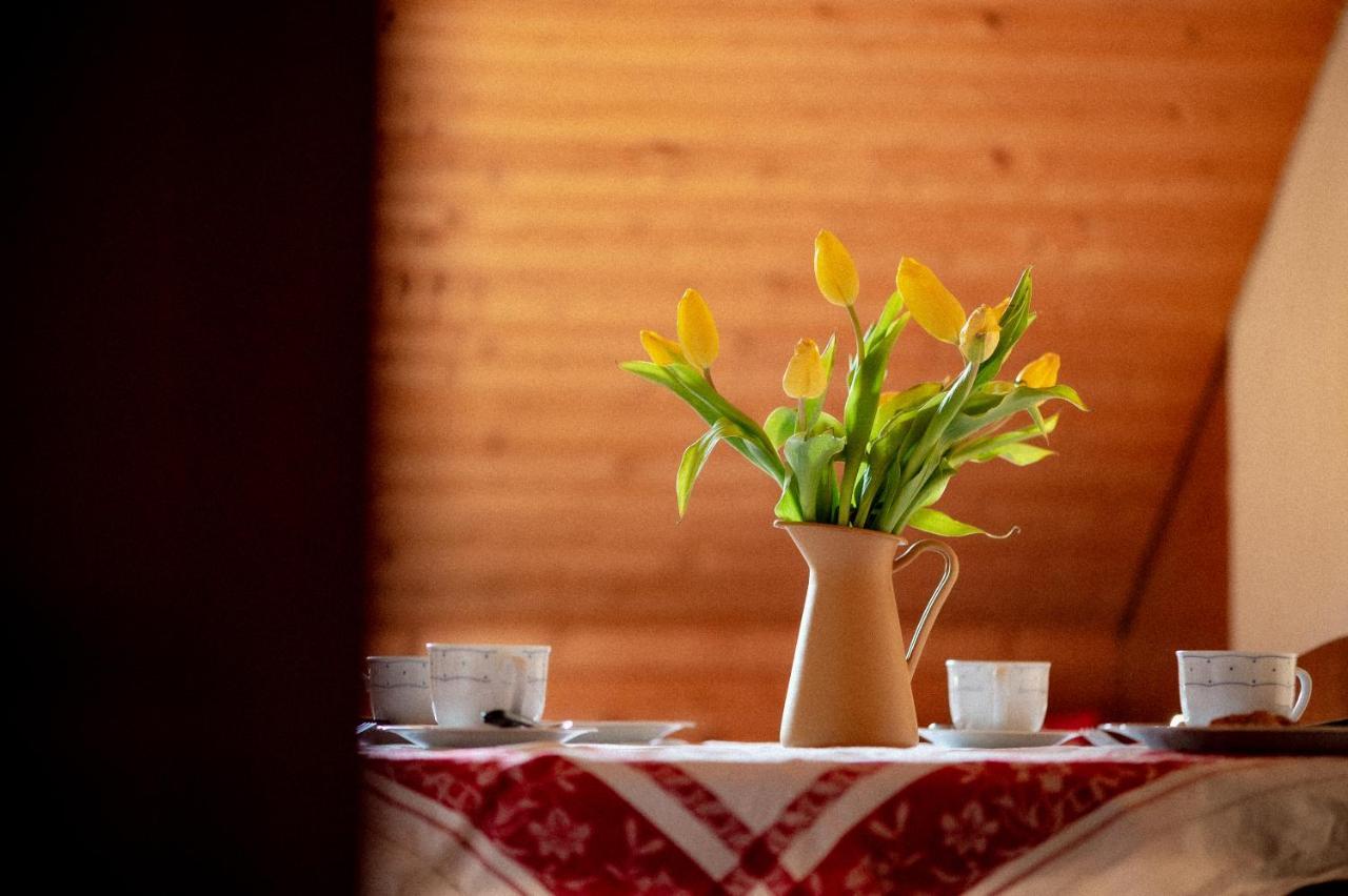 Bodensee Apartments, Sauna, Lake Walks, Free Parking, Self Checkin, Nature Reserve, Restaurants Nearby Gaissau  Экстерьер фото